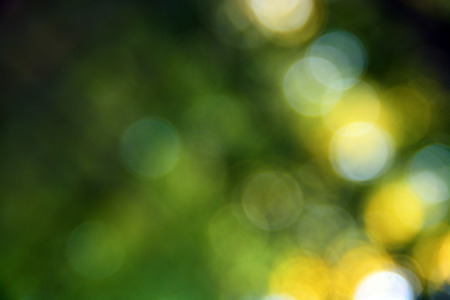 green blurの写真素材