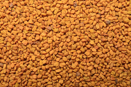 fenugreek grainsの写真素材