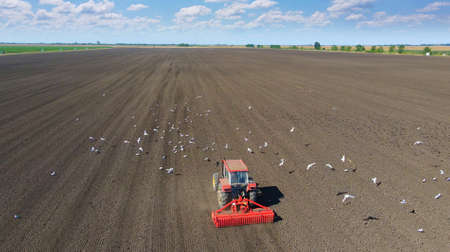 Tractor planting crops, aerial view - Drone shot of tractor seeding crops on agricultural field, gulls and other birds flying aroundの写真素材