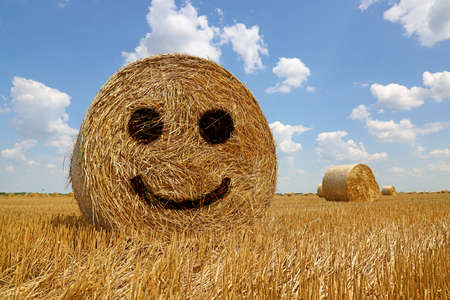 Smiley face on roll of straw. Crop wheat rolls of straw in a field after wheat harvested in agriculture farm, landscape rural scene, beautiful summer sunny day clouds in the skyの写真素材