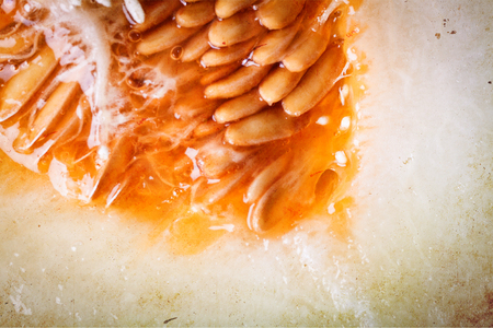 Yellow melon background detail of half piece tasty melonの写真素材