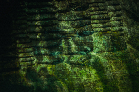 Mysterious moss background textureの写真素材