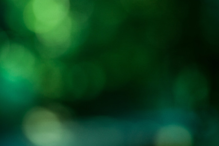 Mystery forest bokeh backgroundの写真素材