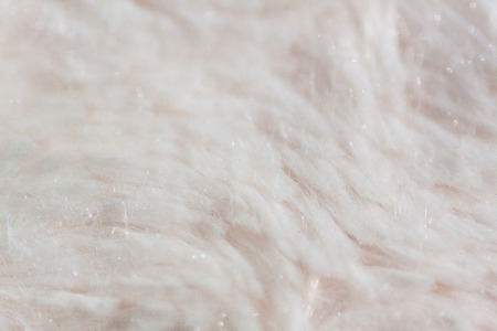 Macro detail of light shaggy fur texture background