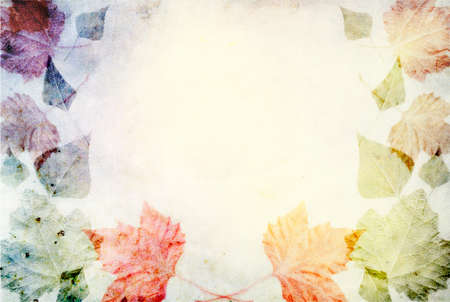 Concept of autumn frame background with colorful leaves â blank template for autumn designの写真素材