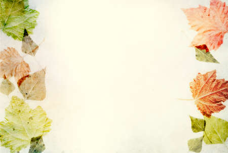 Blank vintage paper background with colorful leaves for autumn seasonal cardの写真素材