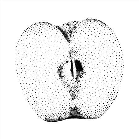 Apple half in dotted monochrome and minimalist style. Fresh fruit vector isolated on white backgroundのイラスト素材