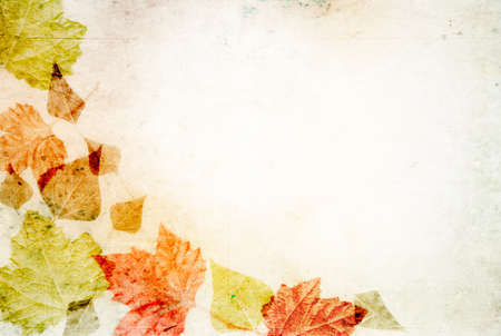Vintage border autumn leaves blank concept paper backgroundの写真素材