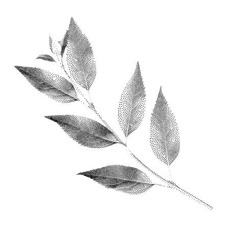 Dotted simple leaf vector in modern pointillism style. Realistic natural element for graphic work and fashion design. Isolated outline in dots on white backgroundのイラスト素材