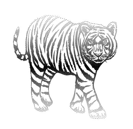 Black and white engraving of a tiger. Vector illustration.のイラスト素材