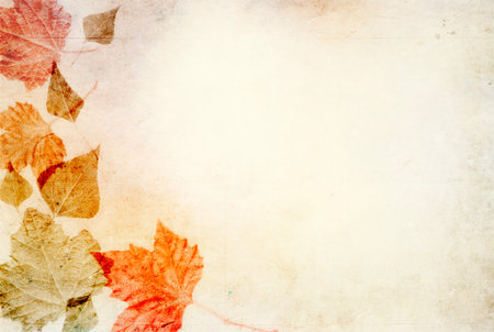 Vintage decorative paper background for autumn graphics with colorful leaves frameの写真素材