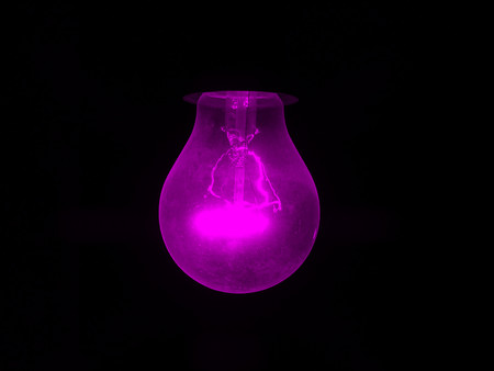 Incandescent bulb magentaの写真素材