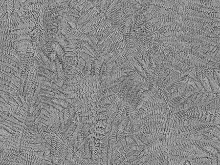 Metallic fern backgroundの写真素材