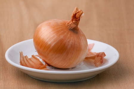 Bulb on a white plateの写真素材