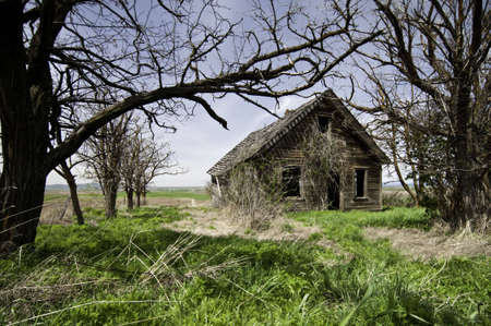 Home that has been left and run down tree have all died grass is over grown.の写真素材