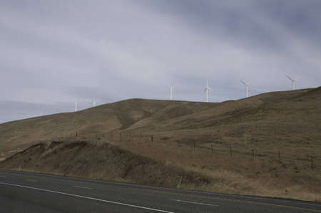 Wind turbines on top of a hill. You can see the cows near the top.They look so small compared to the...
