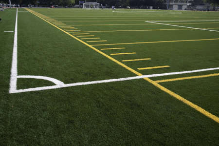 White lines that mark the corner of the filed.