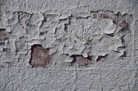 Paint that is lifting from a plastered wall.