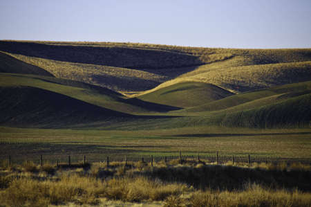 Rolling farm fields in palouse, The winter wheat has been planted.の写真素材