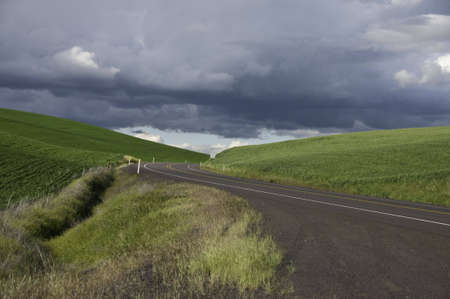Green hills with road going through. Dark rain clouds coming.の写真素材