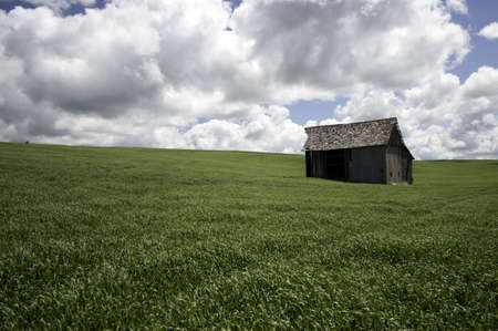 Old barn in  field of green grass and dark clouds above.の写真素材