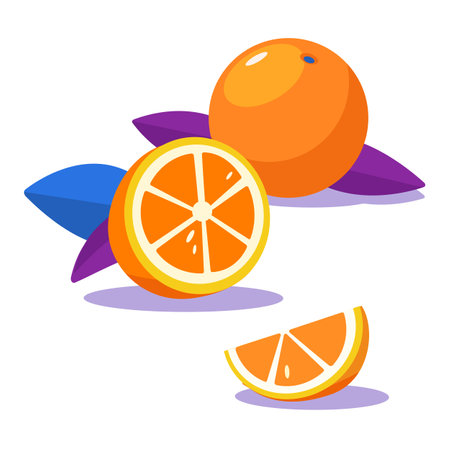 Fresh juicy bright oranges. Healthy food. Breakfast. Element of desigh. Half of orange, chopped orange. Sliceのイラスト素材