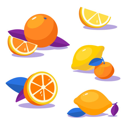 Set of fresh citruses. Oranges and lemons with leaf. Contrast gamma,flat graphics for package design,web desigh,souvenirのイラスト素材