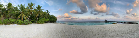 Maldivian panoramic sunset with ocean cost and palms