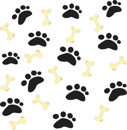 Black dog footprints on a white background の写真素材