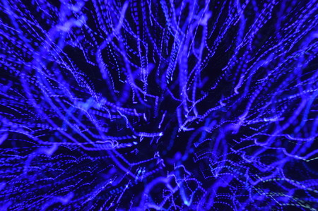 Abstract background with bokeh lights and stars textureの写真素材