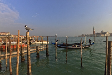 Venetian Lagoonのeditorial素材