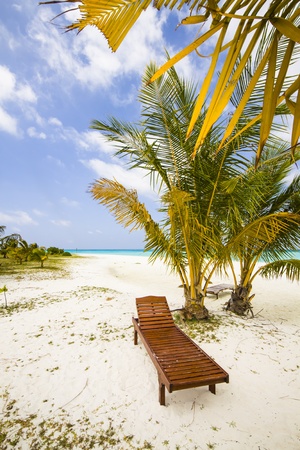 canvas or deck chair under a palm at a tropical beachの写真素材