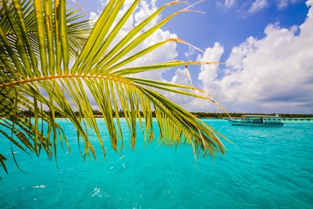 view from a tropical island to a passing motor boat on the sea, Maldivesの写真素材