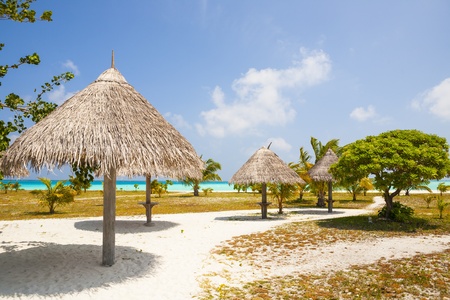 sunshades at a tropical beach with blue skyの写真素材