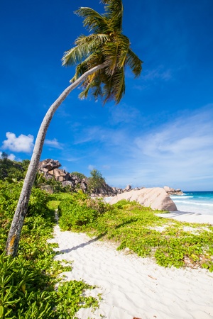 view to a tropical beach with a palm tree, tropical plants, granite rocks, white sand, a turquoise sea and a blue sky with some clouds, La Digue, Seychellesの写真素材