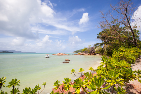 view to a tropical beach with exotic plants and a turquoise sea, La Digue Seychellesの写真素材