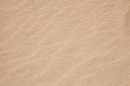 background of sand ripples at the beach or in the desertの写真素材