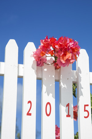 white painted wooden fence with red hibiscus blossoms and the word 2015, concept for a happy new year or turn of yearの写真素材