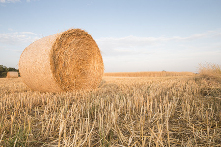 harvested field with a bale of straw, concept for farming and agriculture