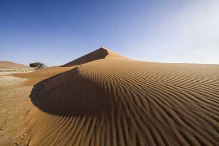 desert landscape with a red Kalahari sand dune, Sossusvlei, Namib Naukluft Park, Namibia, Africaの写真素材