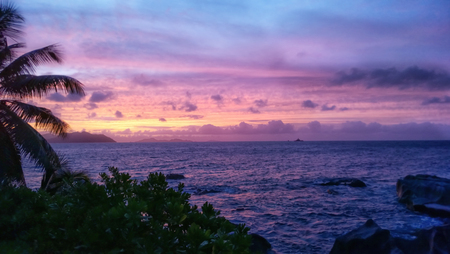 colorful sunset with silhoette of a palm, tropical trees of an island and the sea, La Digue, Seychelles, Africaの写真素材