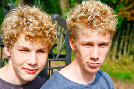 Two young brothers sitting on a benchの写真素材