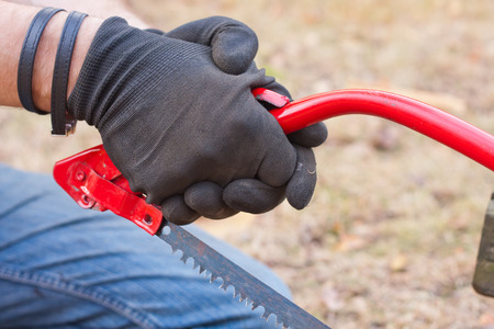 A man sawing a tree in the garden on a sunny dayの写真素材
