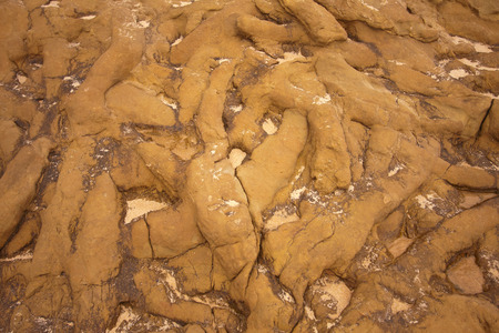 Texture of uneven brown fossil