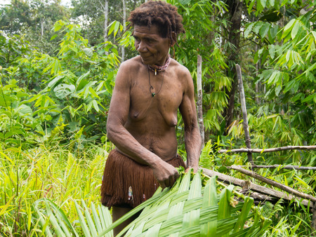 The jungle, Indonesia - January 19, 2015: Residents of a distant jungle in their natural environment. Korowaya tribe. Builders of houses in the trees.のeditorial素材