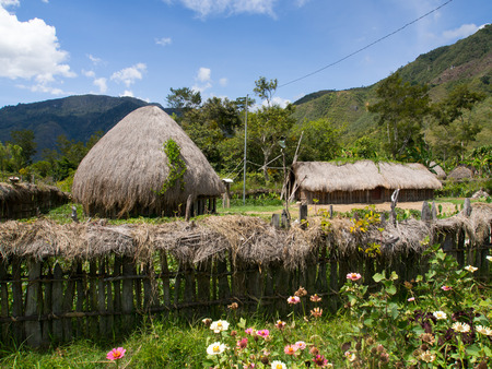 Wamena, Indonesia - January 23, 2015: Cottage covered with dry leaves of banana in the Dani tribe village.のeditorial素材