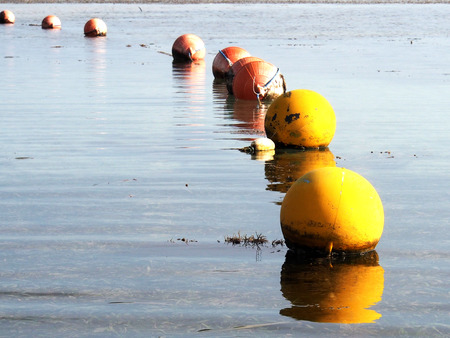 Huge redorange buoys floating in the warm water of the ocean.の写真素材