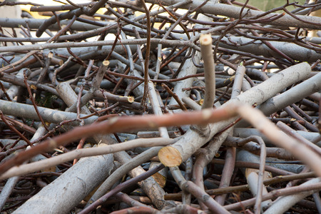 Background. A huge pile of broken wooden sticksの写真素材