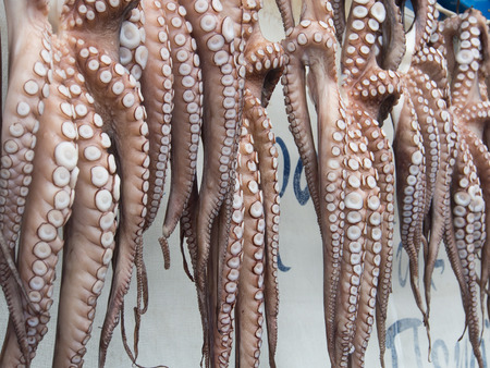 Piraeus, Greece-April 04, 2015: Seafood. Freshly caught octopus hanging outside of the restaurant.のeditorial素材