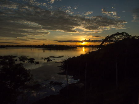 Palmari, Brazil - May 05, 2016: Beatiful, corolful and diversified landscape over the Javari river